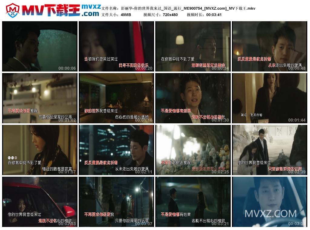 彭丽华-你的世界我来过_国语_流行_ME900754